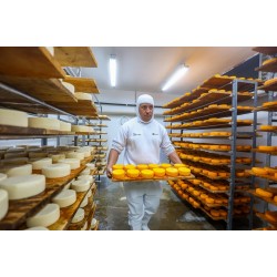 Indicação geográfica impulsiona queijos de Witmarsum nos mercados nacional e internacional